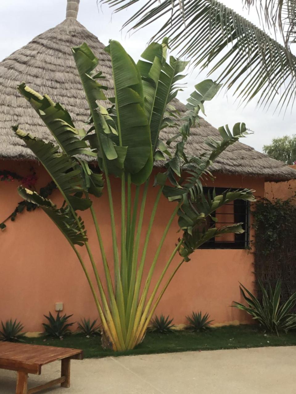 Terra Lodge Senegal M'Bour Exterior photo