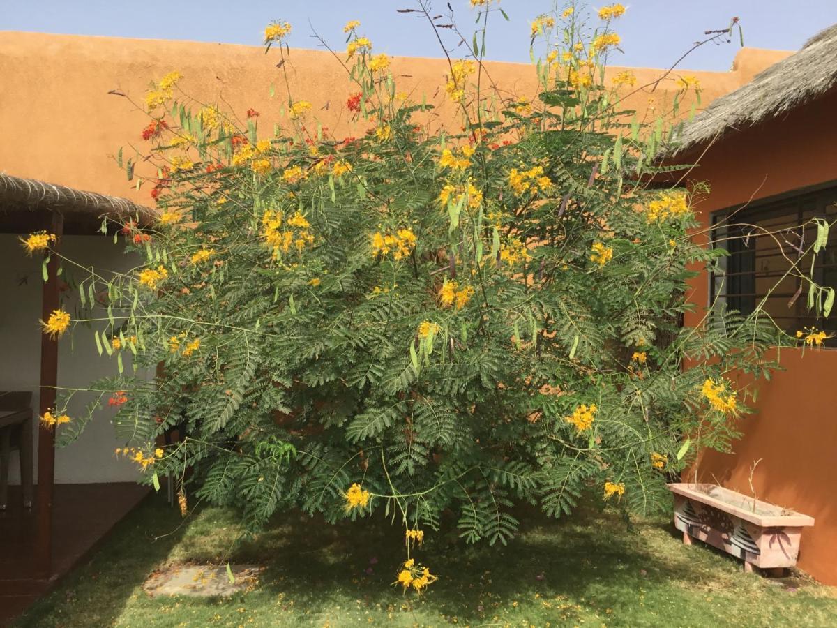Terra Lodge Senegal M'Bour Exterior photo
